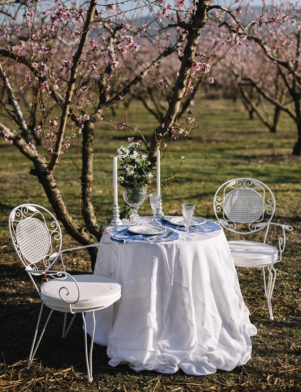 SET OF TWO ANEMONE EMBROIDERED LINEN NAPKINS