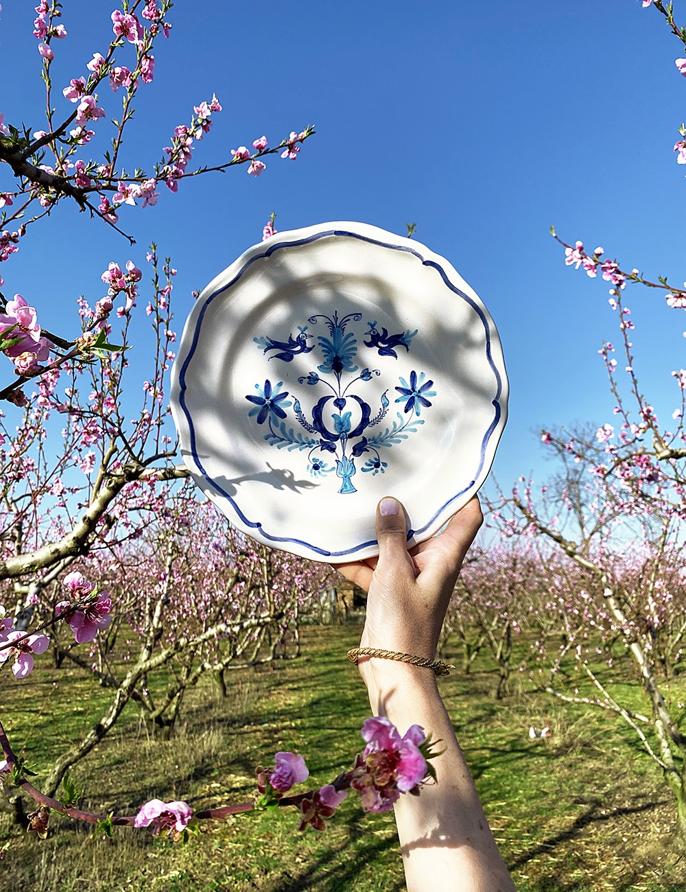 SET OF TWO SKYROS DINNER PLATES LIGHT BLUE